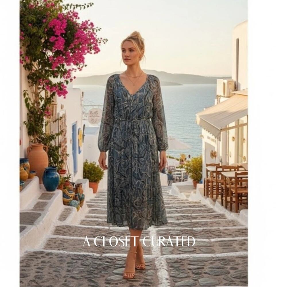 Hannah Artwear Floral Maxi Dress 0 Blue NEW